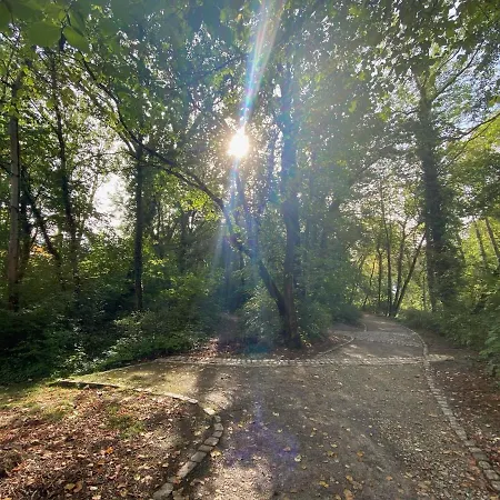 Micha's Stadtblick Apartmán *