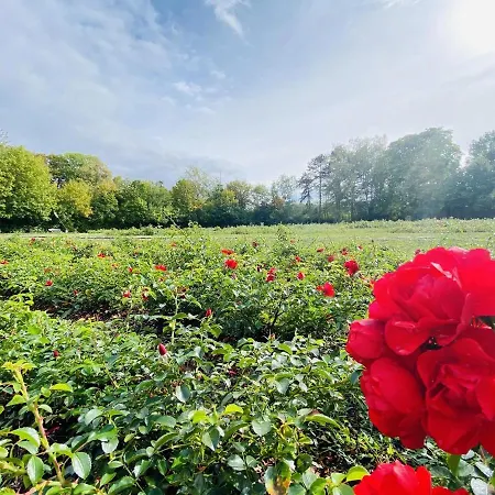 Micha's Stadtblick Apartmán