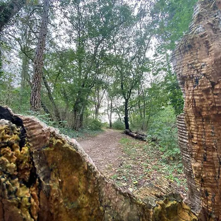 Micha's Stadtblick Lejlighed *