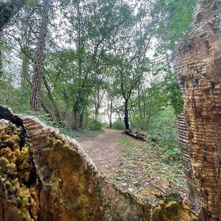 Micha's Stadtblick شقة *