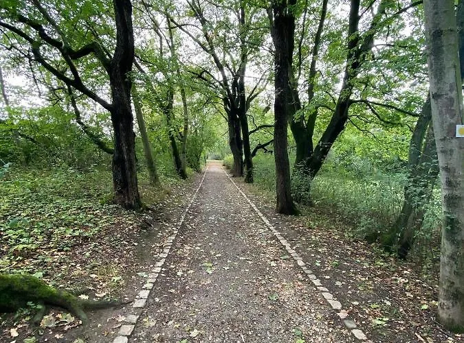 Micha's Stadtblick Appartamento Naumburg (Saale)