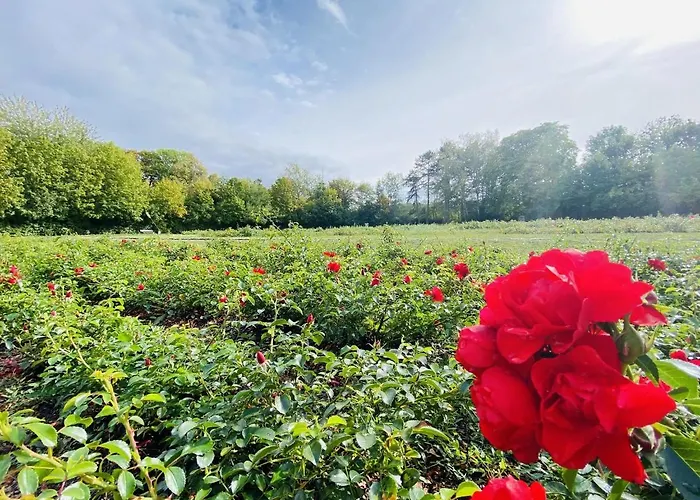 Micha's Stadtblick Apartmán