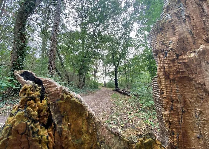 Micha's Stadtblick Appartamento *